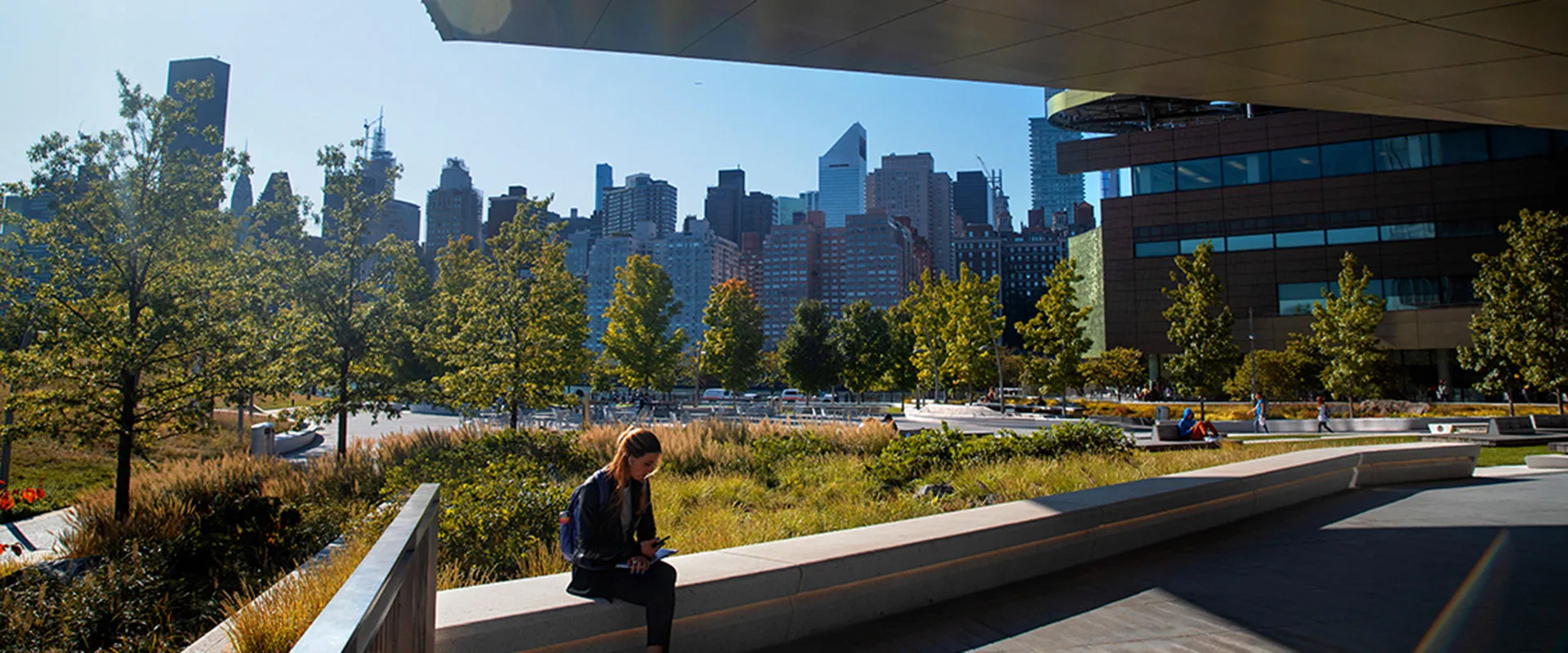 Student reading on a bench in the gardens of the Cornell Tech campus, with the Manhattan skyline across the river